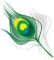 All Eyes Vision Care logo