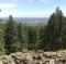 Western Disposal