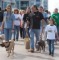PetLove Pet Walk