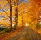 Autumn In Vermont