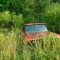 Abandonment Issues (color)