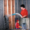Cellulose Wall Spray