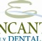EFDC logo
