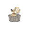 Wash 'n' Wags in Newburyport logo