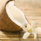 Skin Care Studio treatments in Brookline, MA