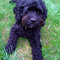 Pepper pic 2 - May 4.jpg