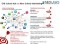 Search Engine Marketing Strategy