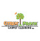Citrus Fresh Carpet Cleaning Inc. logo
