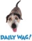At the Daily Wag in Denver, CO we offer a bright, fresh, open space that invites your  dog in for a happy fun-filled visit  whether it is for the day or an extended stay!