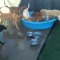 Pool Time!