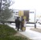 Getting Ready to Load the Truck
