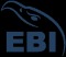 EBI is a program designed to boost the performance of small and medium sized  businesses. EBI is a millennial leadership training program.