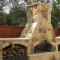 Cascade Custom Pools - Fireplace