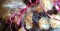 Gifts, Custon Gift Baskets for You, Your Friends & Family