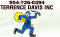 "D" Electrician (Terrence Davis Inc) logo