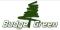 Budget Green logo