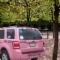 Yellow Cab in a Park