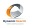 Dynamic Search logo