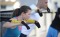 bodyFi Outdoor TRX Training