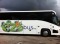E-Z Bus Inc is a motor coach tour and charter bus company located in Orlando, FL; providing transportation for all of your group needs.