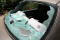 rear window auto glass repair