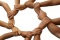 Azle Family Center logo