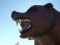 Black Bear RV Resort logo