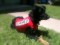 Joson Sporting his competition vest