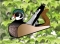 Wood Duck Landscaping & Outdoor Living logo
