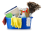 Top Notch Cleaning of FL logo