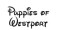 Puppies of Westport logo