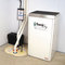 Sump Pump and Dehumidifier