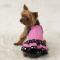 Dress Up Your Pet