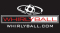Combining lacrosse,hockey and basketball with bumper cars, WhirlyBall is fun for all ages and takes no athletic ability!