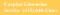 Caspian Limousine Service logo