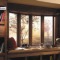 Cat in Window