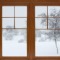 winter garden view