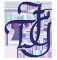 Tooher Ferraris Insurance is an independent insurance agency offering business and personal Insurance solutions.