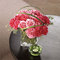 Halls of Tara Florist West Roxbury