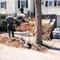 Fairview Landscaping