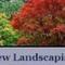 Fairview Landscaping