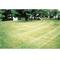 Fairview Landscaping
