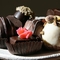 ChocoLee Chocolates South End Boston