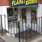 Planet Records Harvard Square