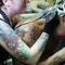 Stingray Tattoos and Body Art Allston, Boston tattoo artist