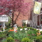 Irving House Courtyard in Harvard Square Cambridge