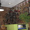 Quad Multisport Arlington